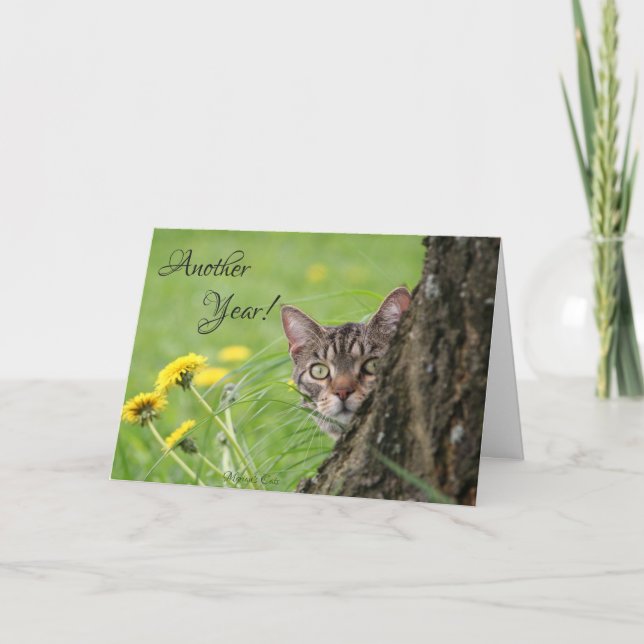 Birthday Funny Cat Tabby Nature Customize Card (Front)