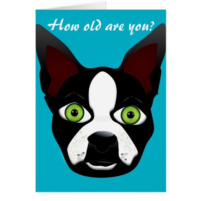Birthday Funny Retro Boston Terrier Rescue Dog (Front)