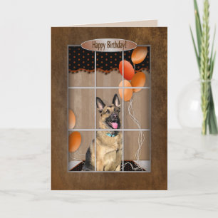 BIRTHDAY - German Shepherd - Window- balloons Card