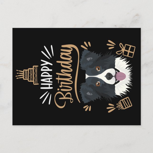 Birthday Gift Border Collie Postcard (Front)