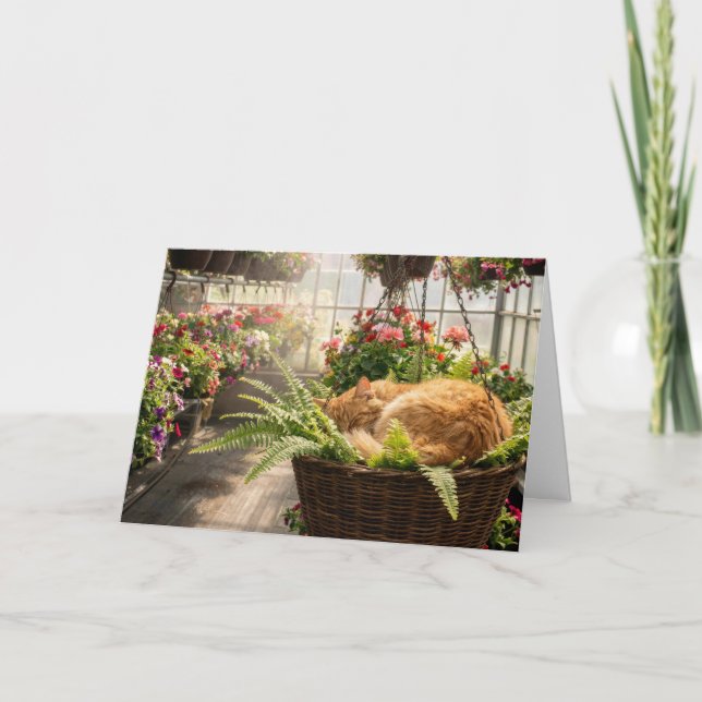 Birthday Ginger Cat Napping in Hanging Fern Basket Card (Front)