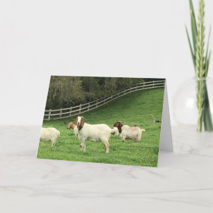 Birthday Goat Wishes Card