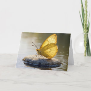 Birthday Golden Butterfly On a Rock in Water Card