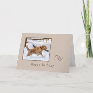 Birthday, Golden Retriever Dog in Snow Card