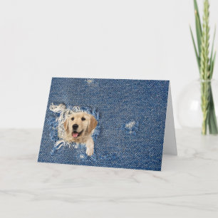 Birthday golden retriever in denim hole card