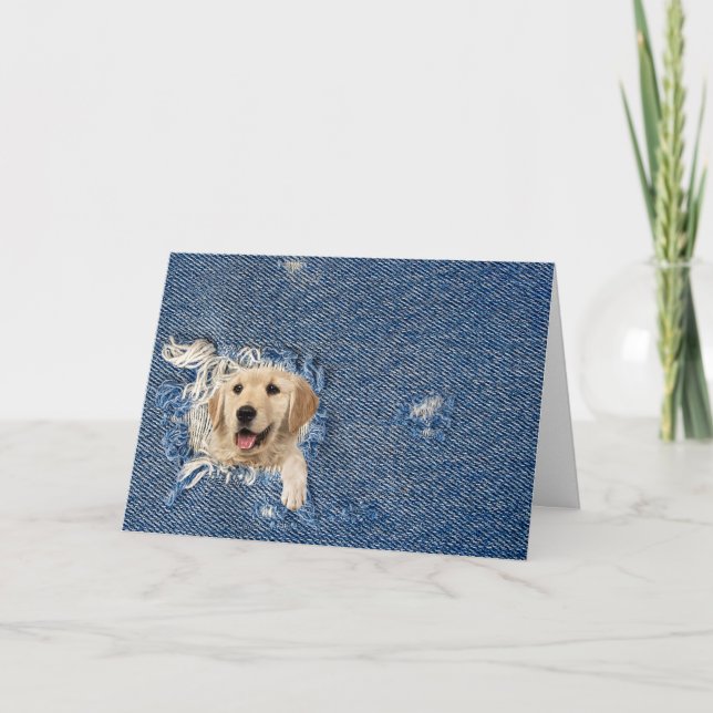 Birthday golden retriever in denim hole card (Front)