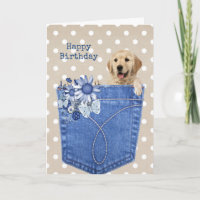 Birthday Golden Retriever In Jean Pocket