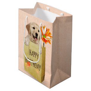 Birthday Golden Retriever in Paper Bag