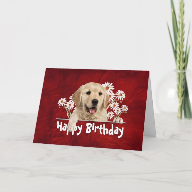 Birthday Golden Retriever on Red Leather  Card (Front)