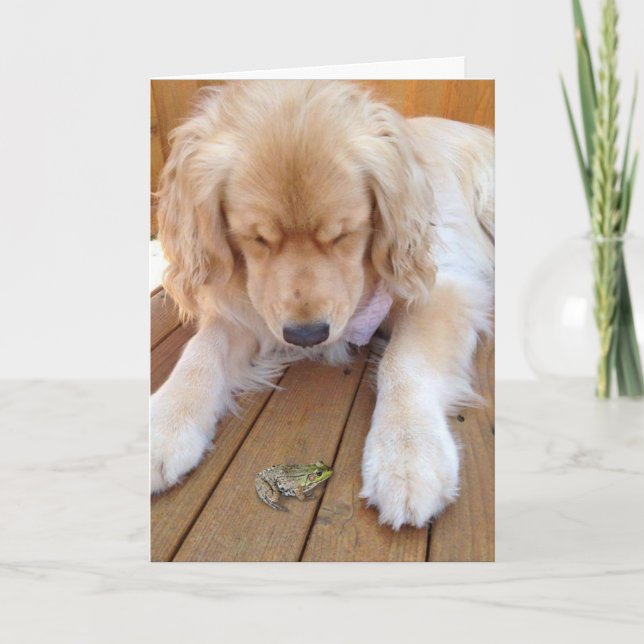 Birthday Golden Retriever with Frog card (Front)