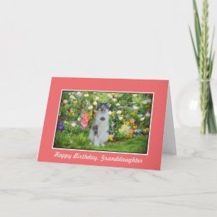 Birthday, Granddaughter, Cat Among The Flowers Card