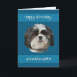 Birthday, Granddaughter , Shih Tzu Dog Card<br><div class="desc">This little Shih Tzu dog with his cute cuddly face adds appeal that any pet lover will like.  It’s especially nice for a birthday greeting card.</div>