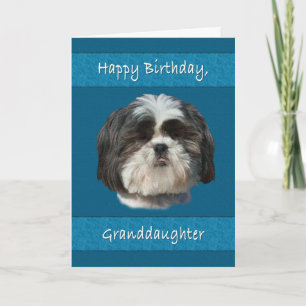 Birthday, Granddaughter , Shih Tzu Dog Card