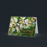Birthday Granddaughter Sun-Dappled Spring Hawthorn Card<br><div class="desc">Floral series: The beautiful and delicate photo of a sprig of hawthorn,  full of spring blossom. 
In the language of flowers,  hawthorn stands for hope. 



image code: hrflo29</div>