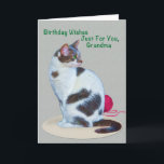Birthday, Grandma, Green-eyed Cat Card<br><div class="desc">This lovely green-eyed cat makes a wonderful image for any pet lover. It looks especially nice on this birthday greeting card for someone special.   Feel free to change the inside verse to suit your needs.</div>