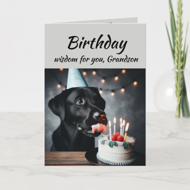 Birthday Grandson Fun Wisdom Lab Dog Card (Front)