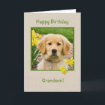 Birthday, Grandson, Golden Retriever Dog Card<br><div class="desc">Nothing says "love" more than the big brown eyes of a Golden Retriever pup.  Add a yellow daffodils and have a way to wish someone happy birthday.  Feel free to change the inside verses to suit your needs.</div>