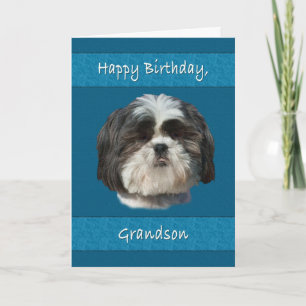 Birthday, Grandson, Shih Tzu Dog Card
