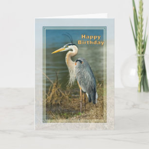Birthday, Great Blue Heron Bird Card