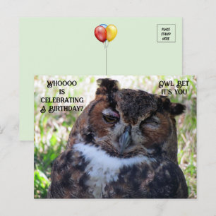 Birthday Great Horned Owl Postcard