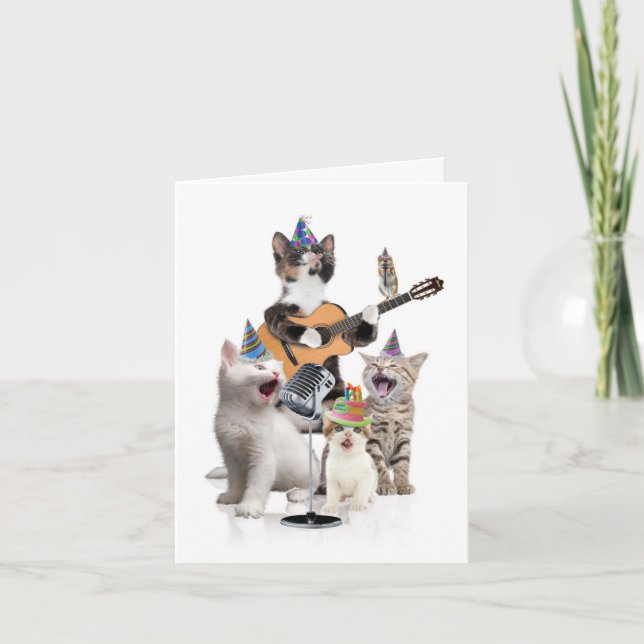 Birthday Greeting Card - Animal Bands - Cats (Front)