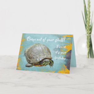 Birthday Greeting - Turtle Come Out of Your Shell Card