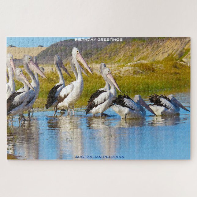 Birthday Greetings Australian Pelicans Jigsaw Puzzle (Horizontal)