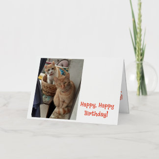 Birthday Greetings Ginger Cats Foil Greeting Card