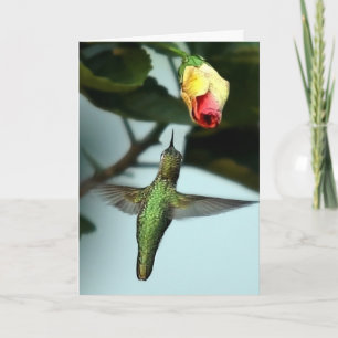 Birthday Greetings Hummingbird Card