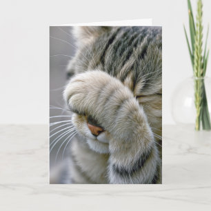 Birthday Grey Tabby Cat Getting Old Humour Card