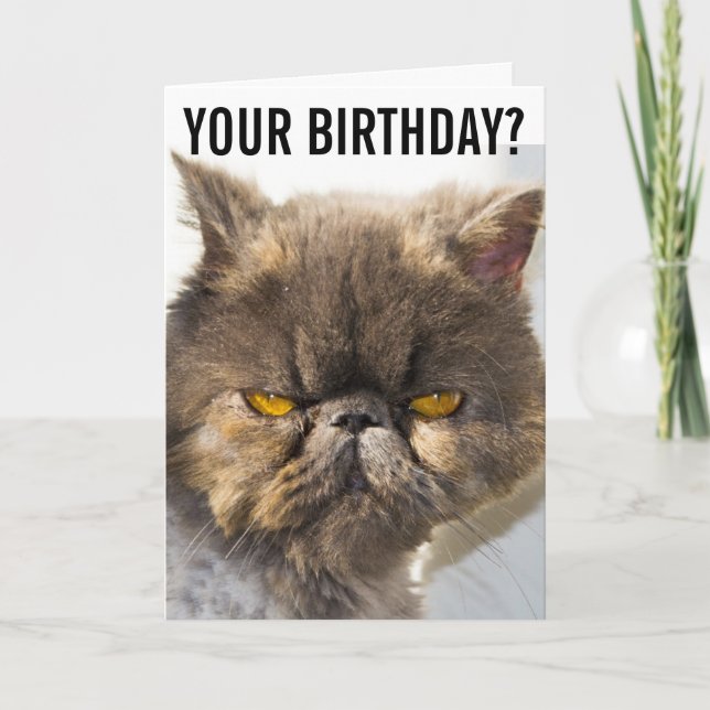 BIRTHDAY GRUMPY PERSIAN CAT FUNNY Greeting Card (Front)