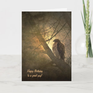 birthday-hawk in tree card