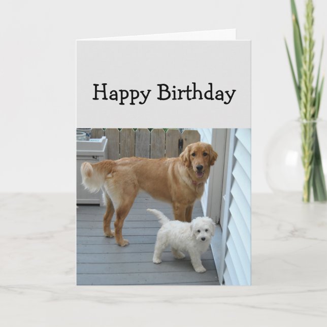 Birthday Help to Eat Cake Cute Dog Humour Card (Front)