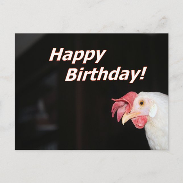 Birthday Hen Holiday Postcard (Front)
