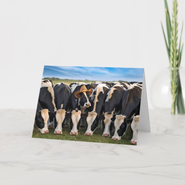 Birthday Holstein Cows Grazing Card (Front)
