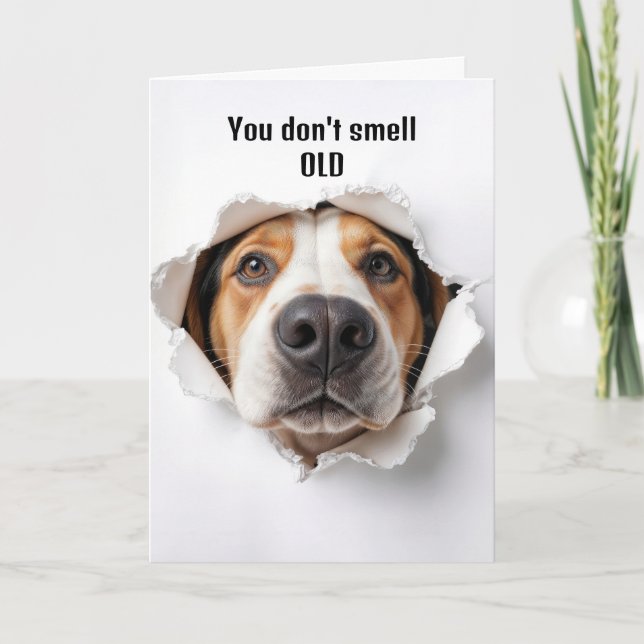 Birthday Hound Dog In Paper Hole Card (Front)