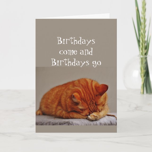 Birthday Humor 90th Over the Hill Disgusted Cat Card (Front)