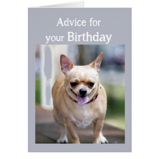 Funny Chihuahua Birthday Cards, Photocards, Invitations & More