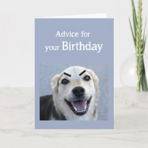 Birthday Humor Cute Dog New Trend Eyebrows Fun Card