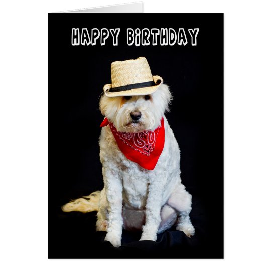 BIRTHDAY - HUMOR - DOG/COWBOY HAT AND SCARF CARD