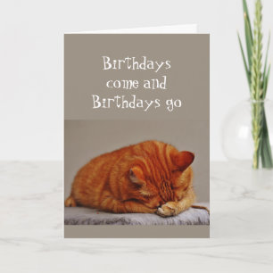 Birthday Humor Hiding not an Option Orange Cat Card