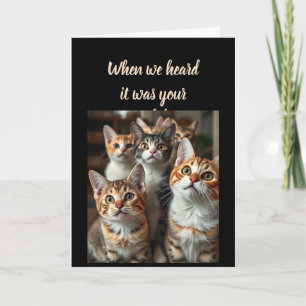 Birthday Humour From all of Us Cute Cats Card