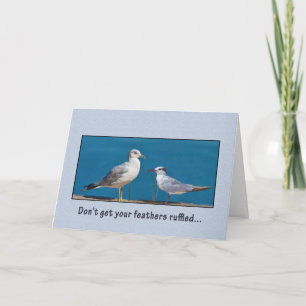 Birthday, Humour, Gull and Tern Birds Card