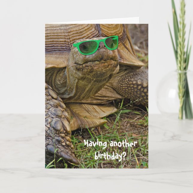 birthday humour-old tortoise in green glasses card (Front)
