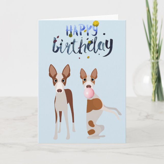 Birthday Ibizan Hound Dog Animal Bubble Gum Card (Front)