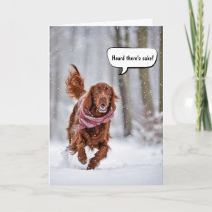 Birthday Irish Setter Running In Snow Card