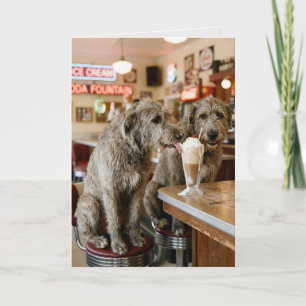 Birthday Irish Wolfhounds Enjoying a Milkshake Card