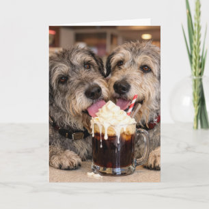 Birthday Irish Wolfhounds Licking Root Beer Float Card