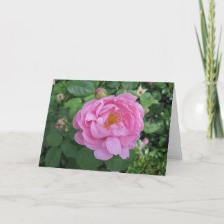 Birthday-Journey Round the Sun Card