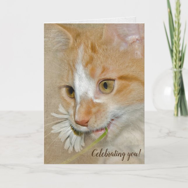 birthday kitten with daisy card (Front)